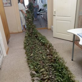 /base/attachments/2Ишеевка_2024-06-20_08-18-41-673big.jpg
